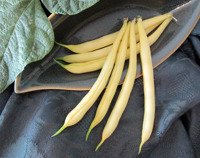 GOLDEN ROD WAX